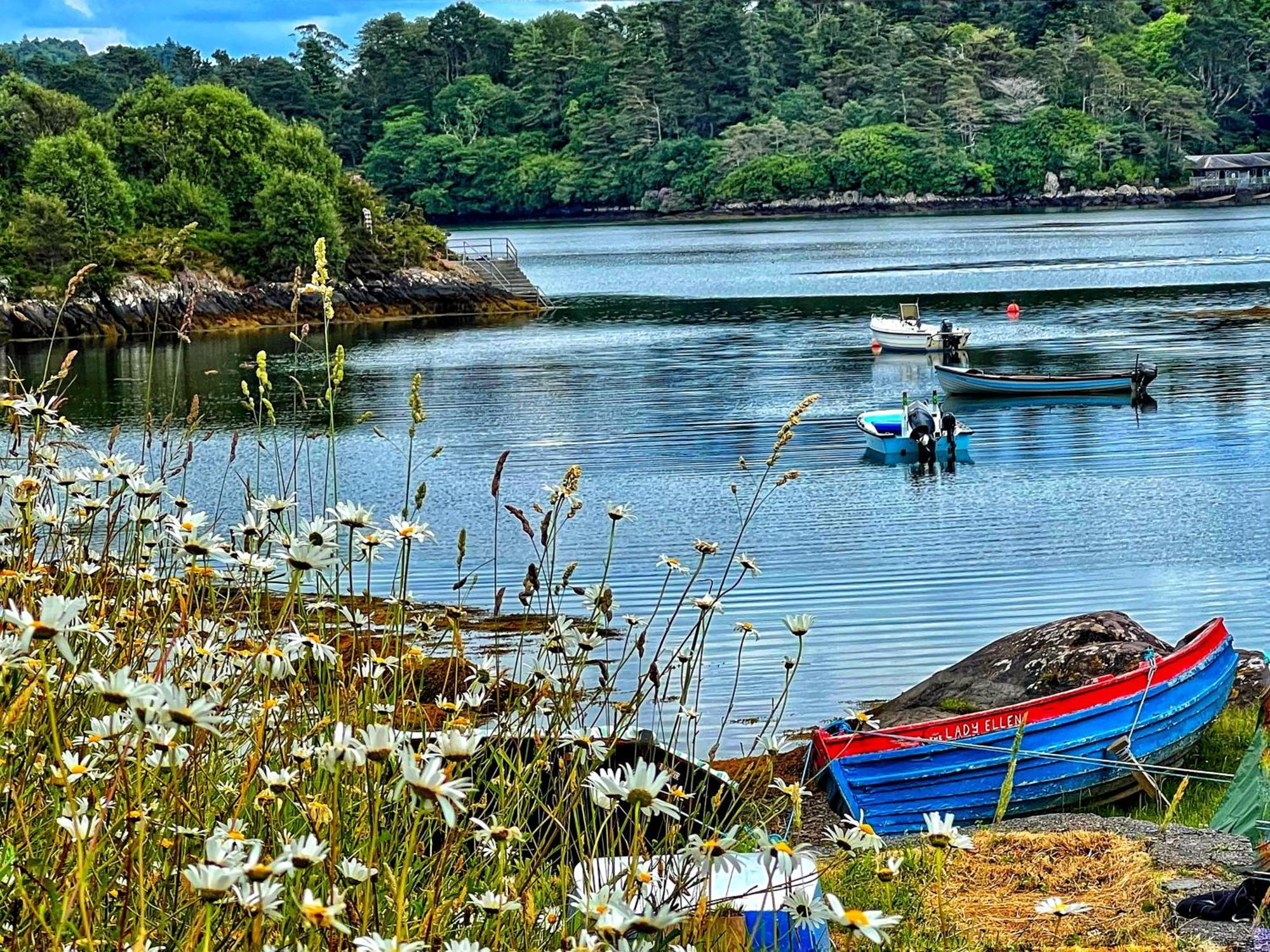 Niblick Acomodação com café da manhã Bantry Exterior foto